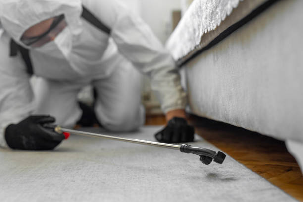 Professional Cockroach Control technician working in Baywood, NY