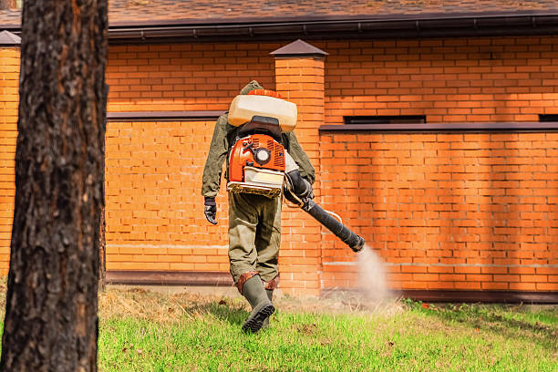 Trusted Mosquito Control service in Baywood, NY - Nex Pest Control